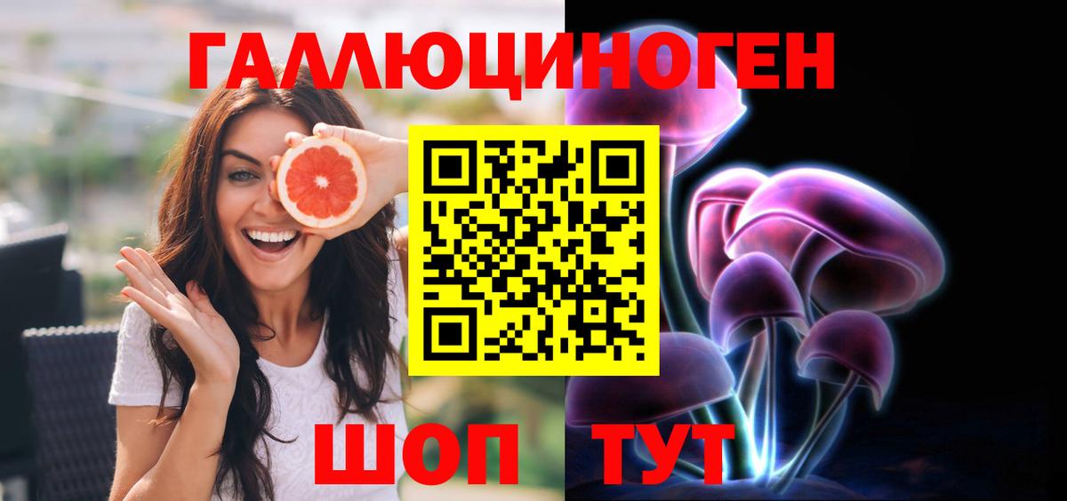 Удомля  Псилоцибиновые грибы Psilocybe  Вход с VPN 